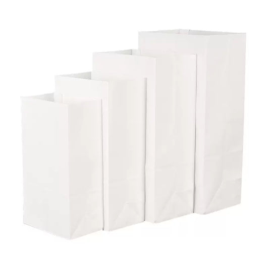 White Color Kraft Paper Bags Blank Bags-70gsm